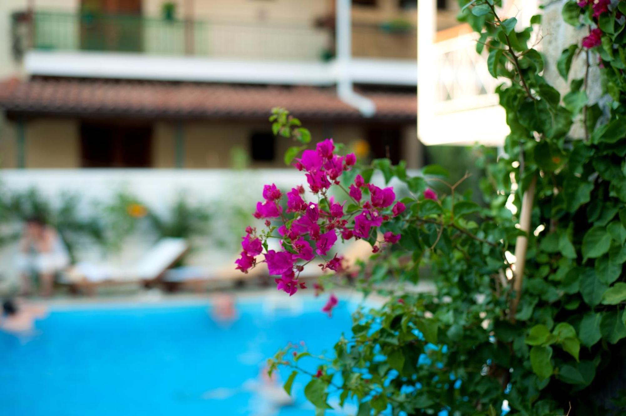 Neda Hotel Олимпия Экстерьер фото